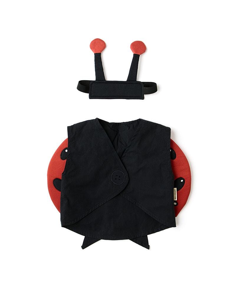 Verkleedpakje Lieveheersbeestje