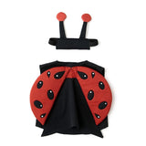 Verkleedpakje Lieveheersbeestje