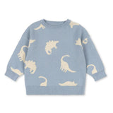 Lapis knit sweater - Dino mist