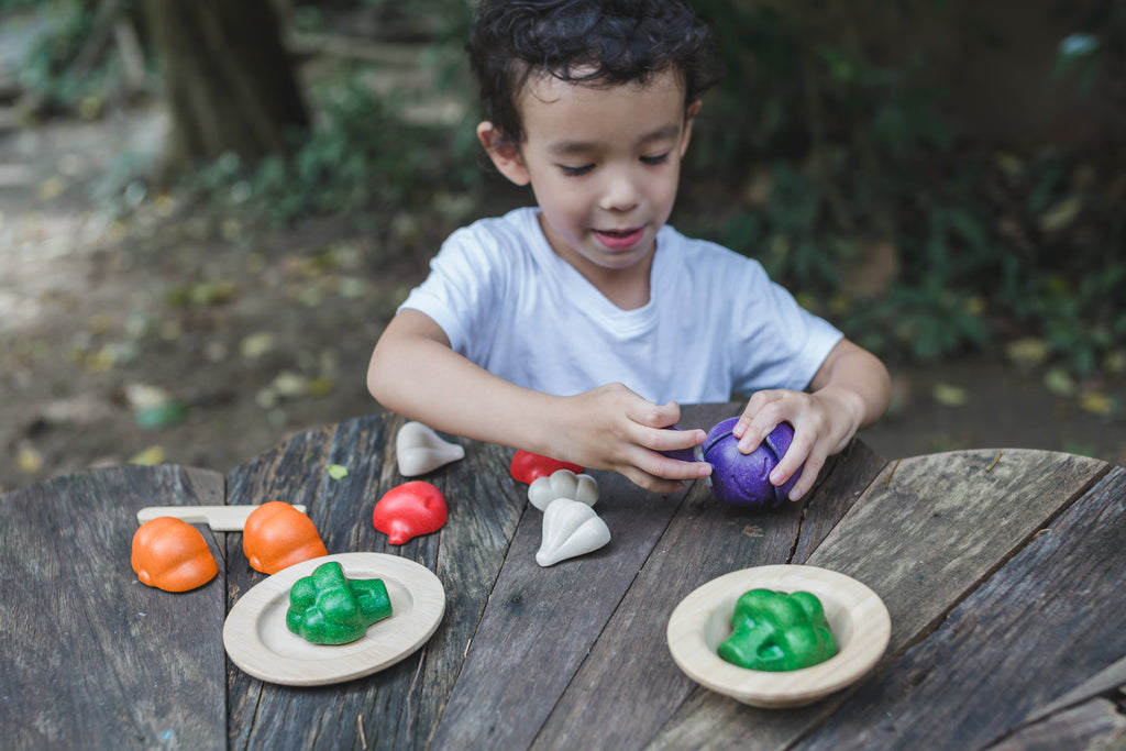 Houten speelgoed 5-kleuren groenten set - PlanToys