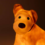 Nachtlampje Hond Eliot