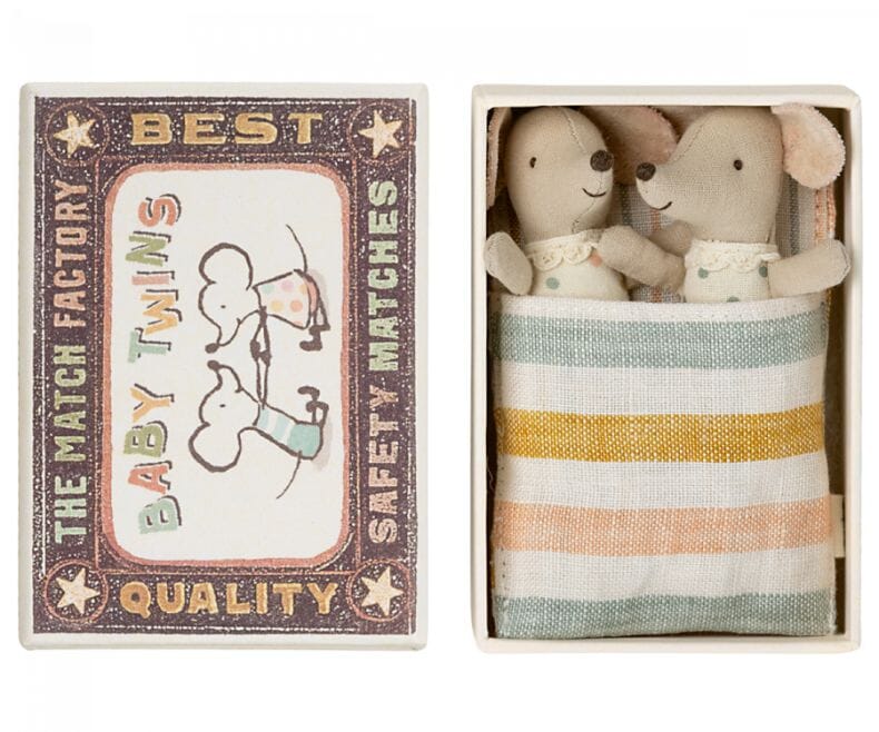 Twins baby mice in matchbox
