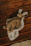Senger Naturwelt - Knuffel floppy konijn - Small - Beige