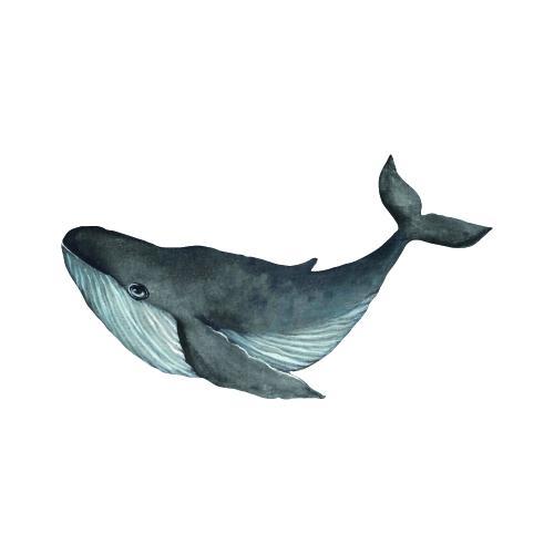 That's Mine - Muursticker walvis Big Blue Friend 31,5x29,5cm
