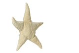 Cuddly starfish with heat cushion pits - Small - Senger Naturwelt